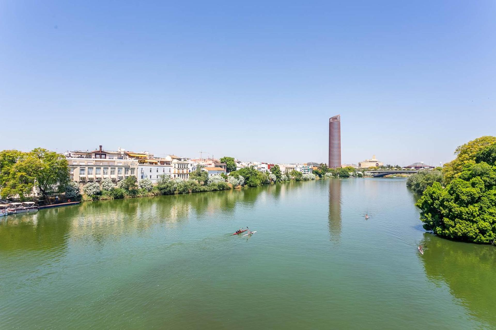 Sunterrace Loft-Triana'S Star, 10' From City Center! Sevilla Exteriör bild